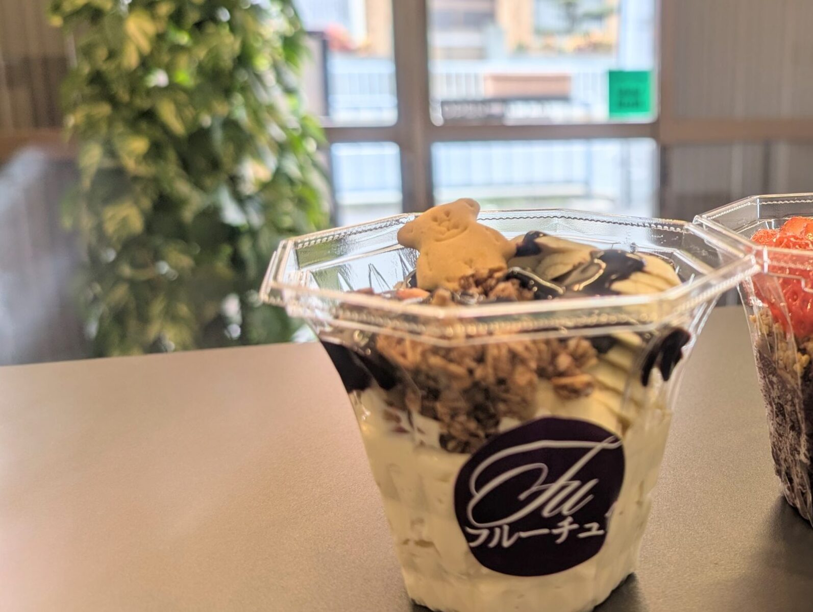 ソイグリークヨーグルト